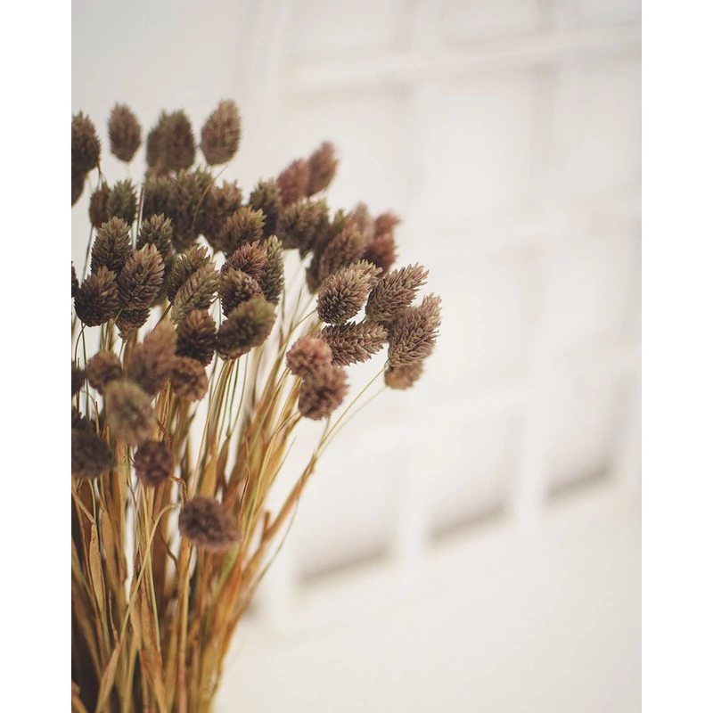 fénymag cappucino színben