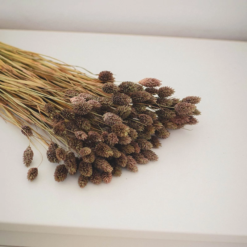 fénymag cappucino színben