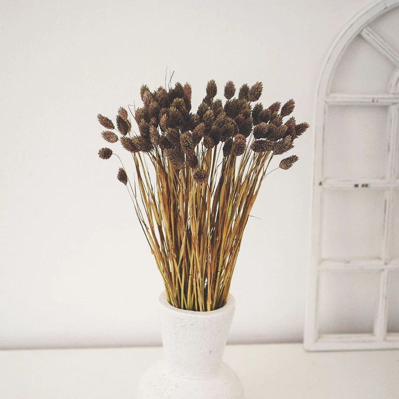 fénymag cappucino színben