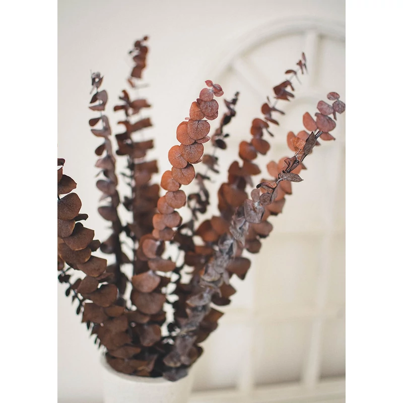 narancsos bordó árnyalatú tartósított eukaliptusz