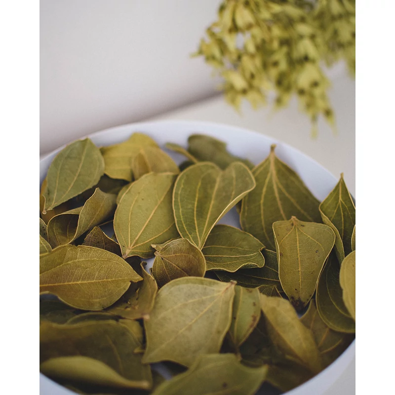 szárított levél természetes zöld