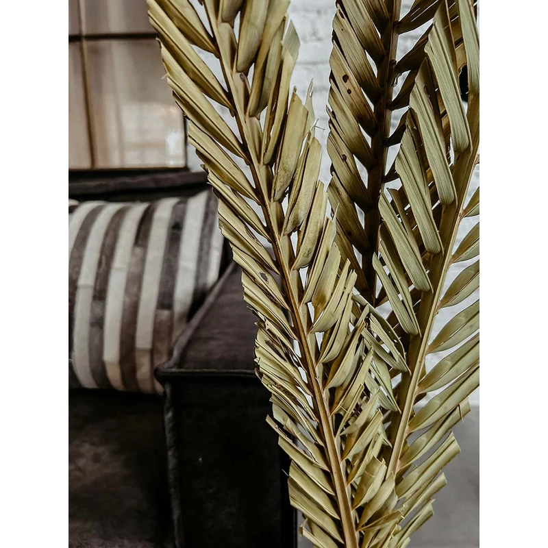 szárazvirág, pálma