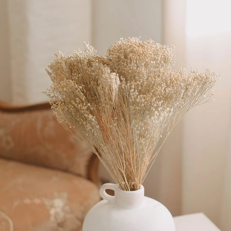 szárazvirág, ammóbium