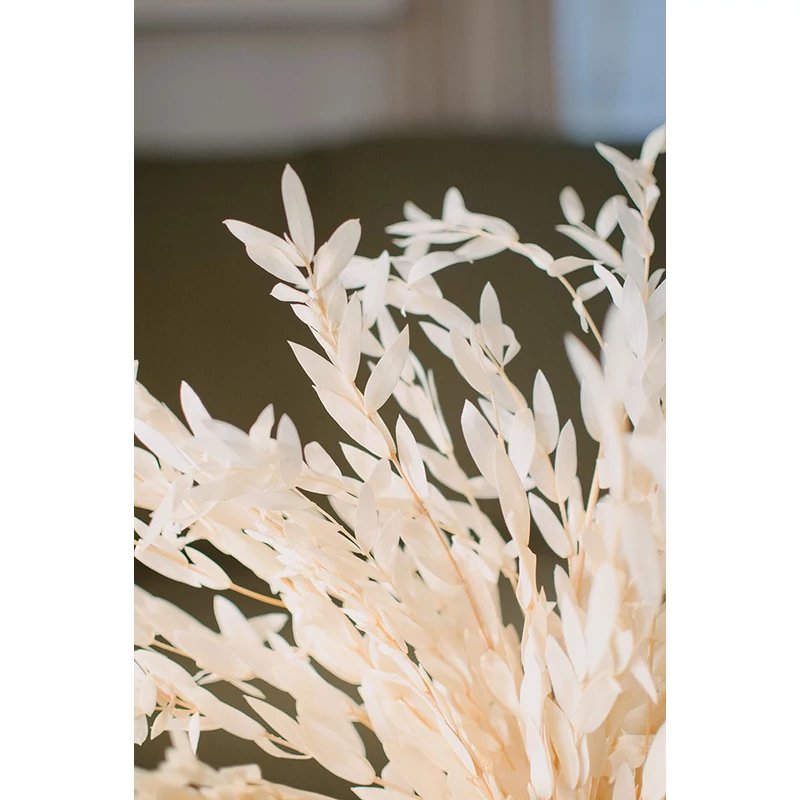 Szárazvirág - eukaliptusz - parvifolia - preparált - krém