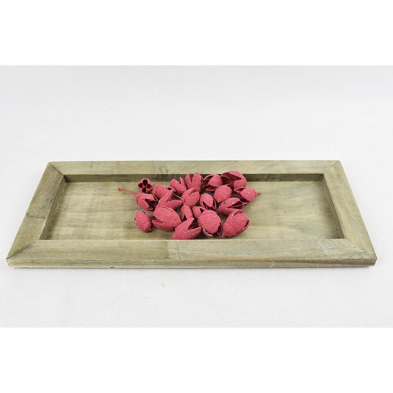 szárazvirág termés