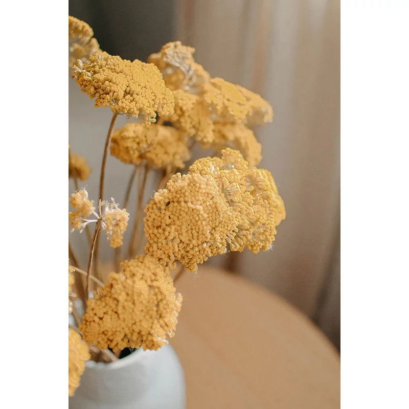 váza szárazvirággal