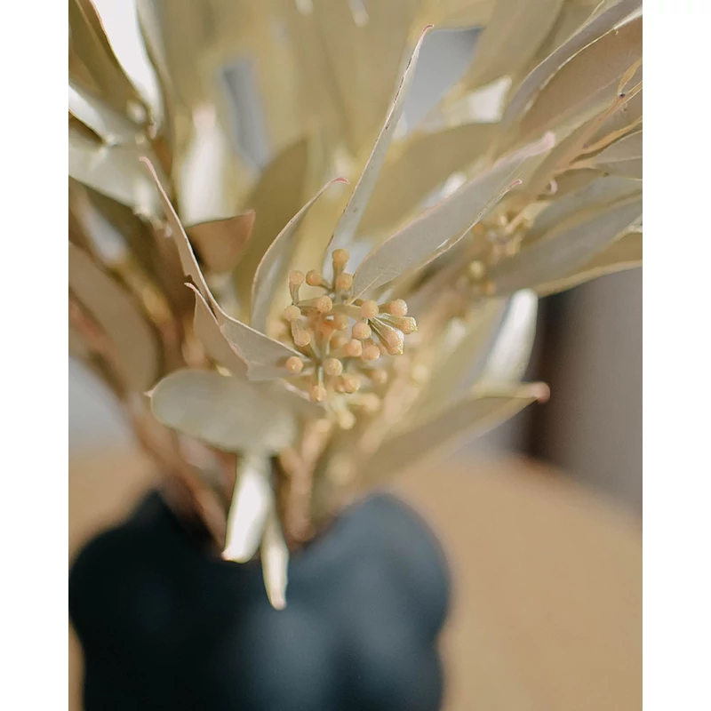 váza szárazvirággal