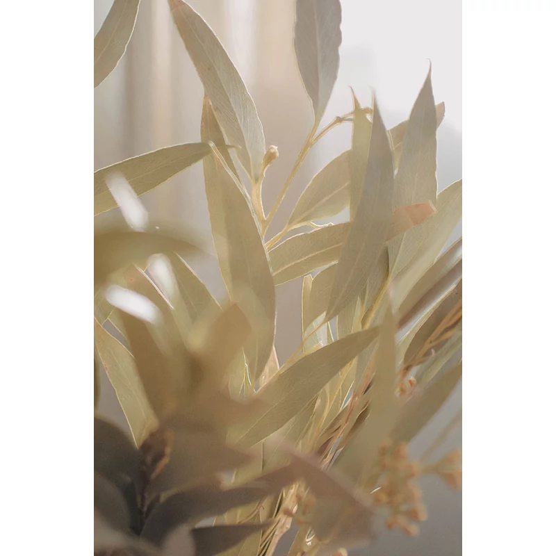 váza szárazvirággal