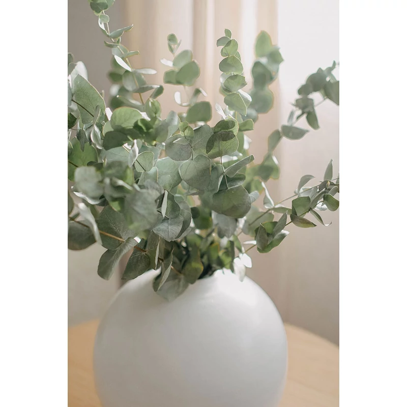 váza szárazvirággal