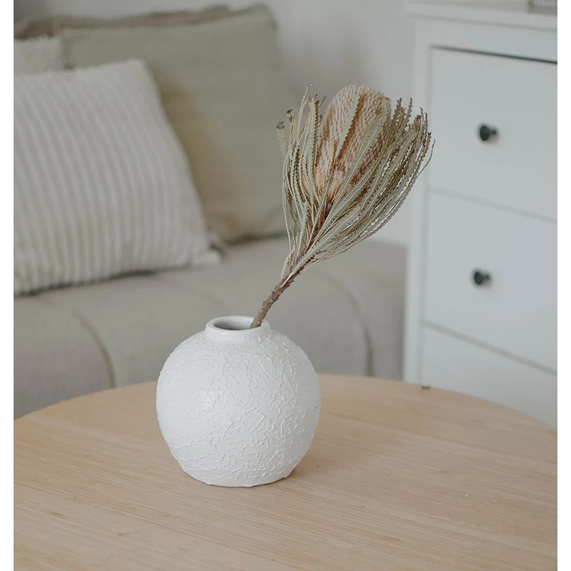 banksia szárazvirág