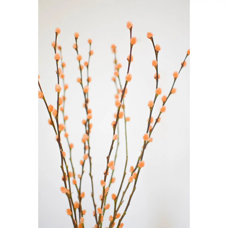 festett barka csokor