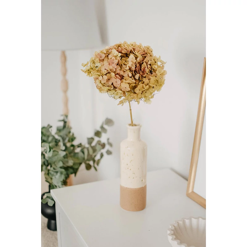 zöld tartósított hortenzia vázában