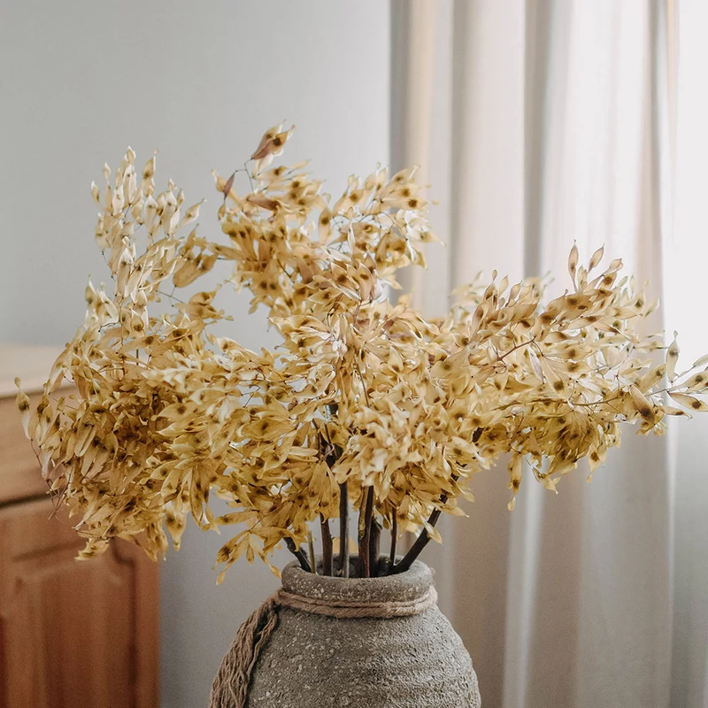 szárított bálványfa szárazvirág