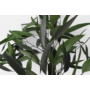 Kép 4/4 - Szárazvirág - eukaliptusz - lándzsáslevelű - kis  csokorban