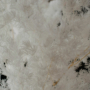 Kép 1/4 - Szárazvirág - Aszparágusz - preparált - fehérített
