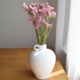 Kép 2/6 - Szárazvirág - egynyári sóvirág - élénk rózsaszín