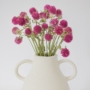 Kép 1/3 - Szárazvirág - gombvirág - pink
